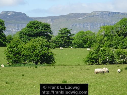 Manorhamilton Road